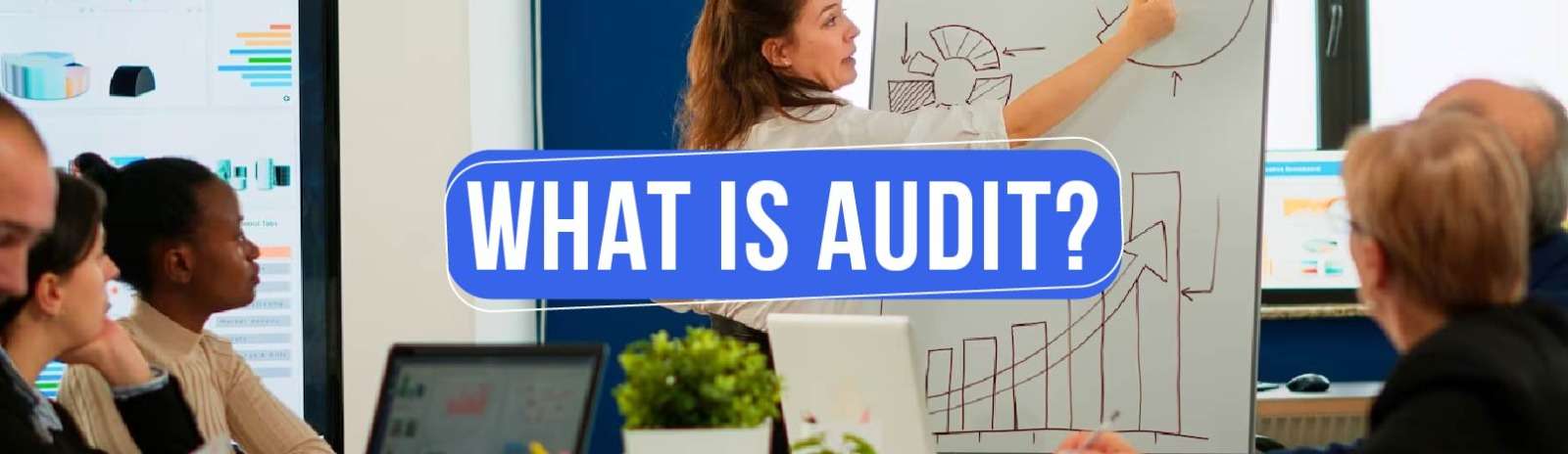 What is Audit?