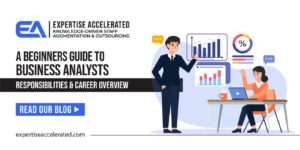 Beginners Guide to Business Analysts
