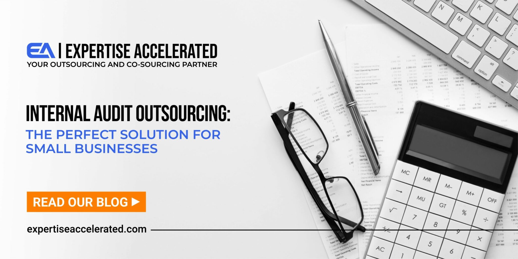 Audit Outsourcing