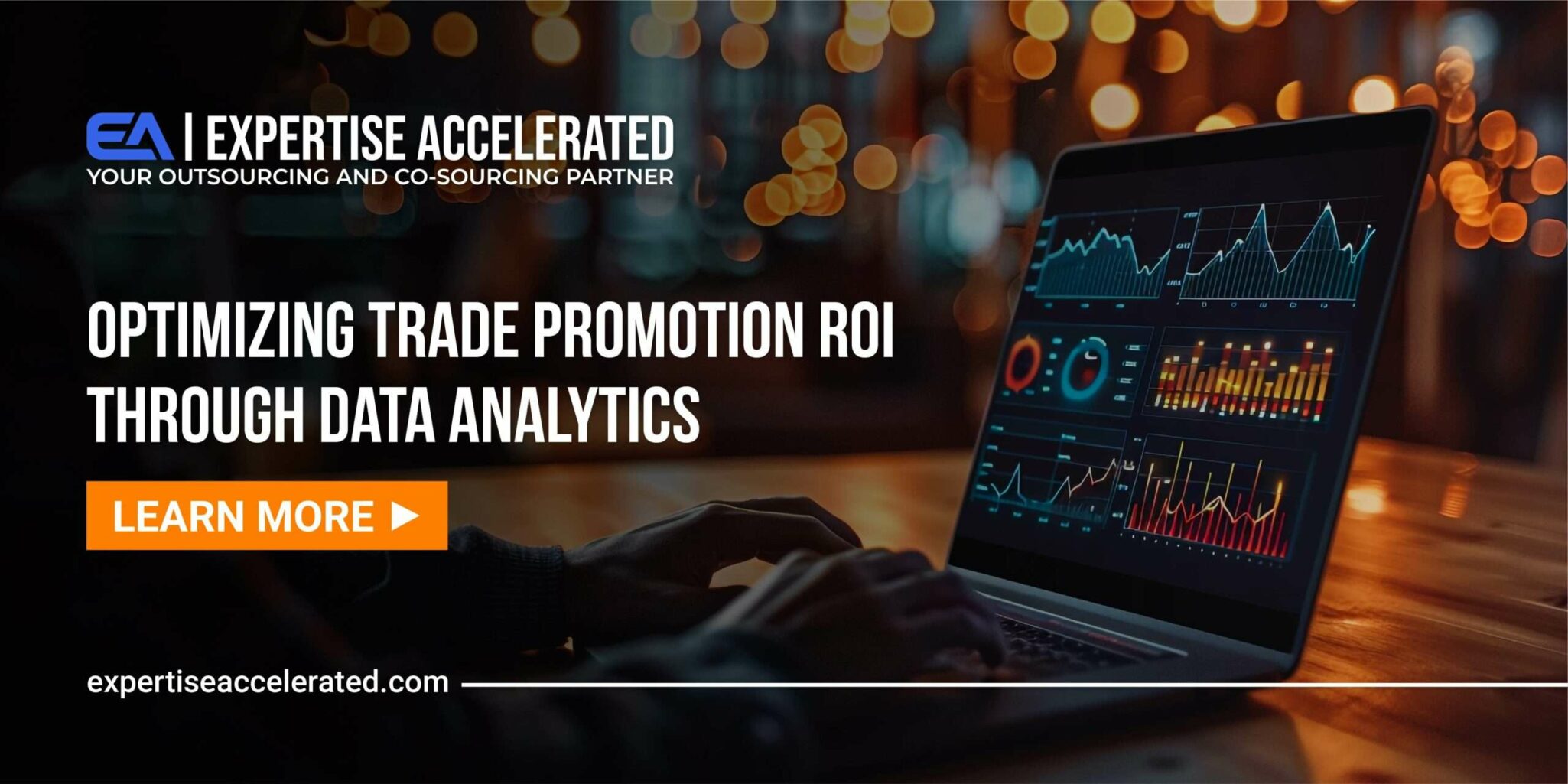 Trade Promotion ROI